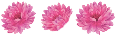 Dálias
