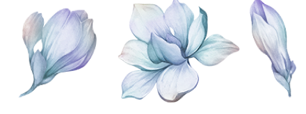 magnolias