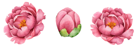 peonias
