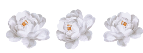Rosas
