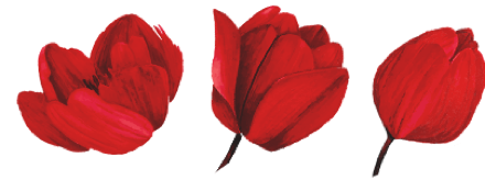 tulipas vermelhas
